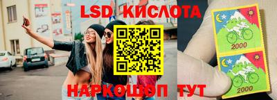 шишки Кингисепп