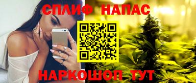 шишки Кингисепп