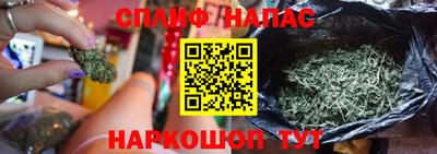 шишки Кингисепп