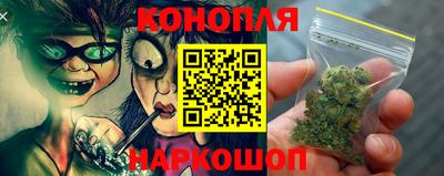 шишки Кингисепп