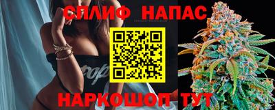 шишки Кингисепп