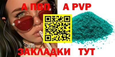 шишки Кингисепп