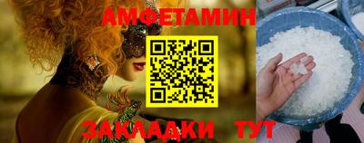 шишки Кингисепп