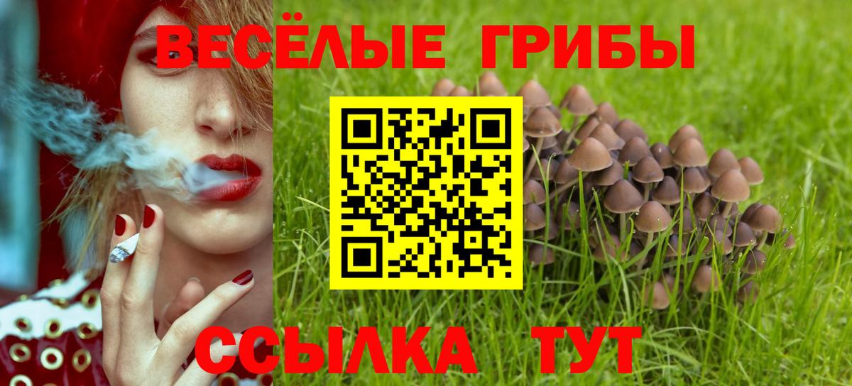 Галлюциногенные грибы ЛСД Красноуфимск